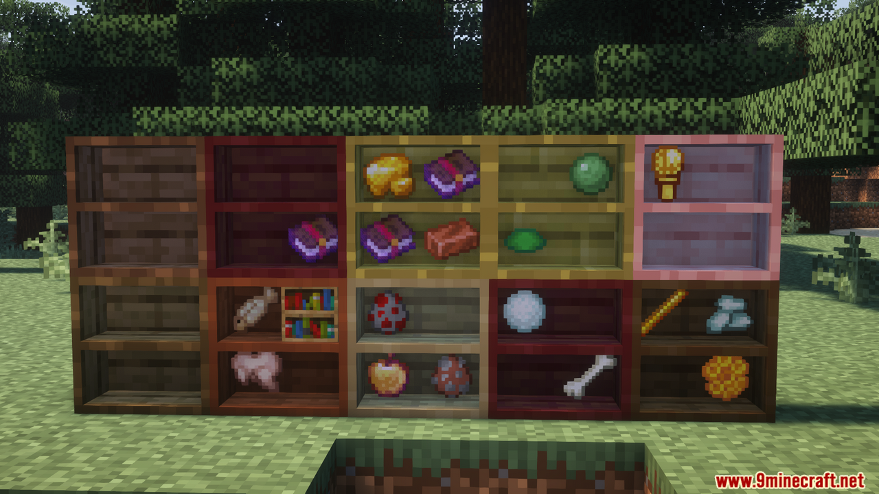 Shelf Mod (1.21.1, 1.20.1) - Adds Two Types of Shelves 5