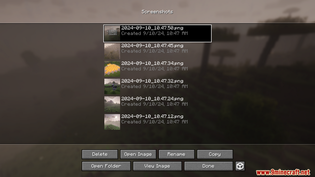 Snapper Mod (1.21.1) - Screenshot Management 9