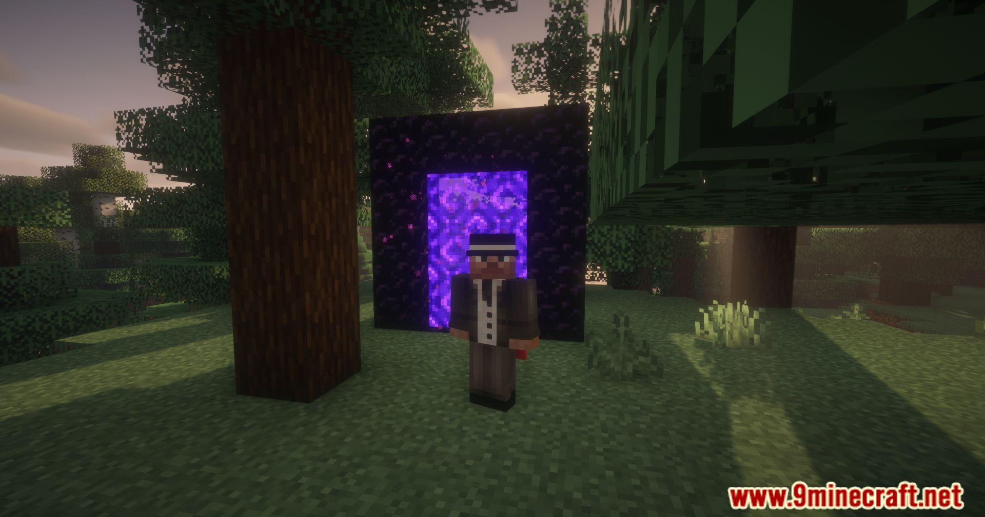 Access Denied Mod (1.21.1, 1.20.1) - Control Dimension Access 9