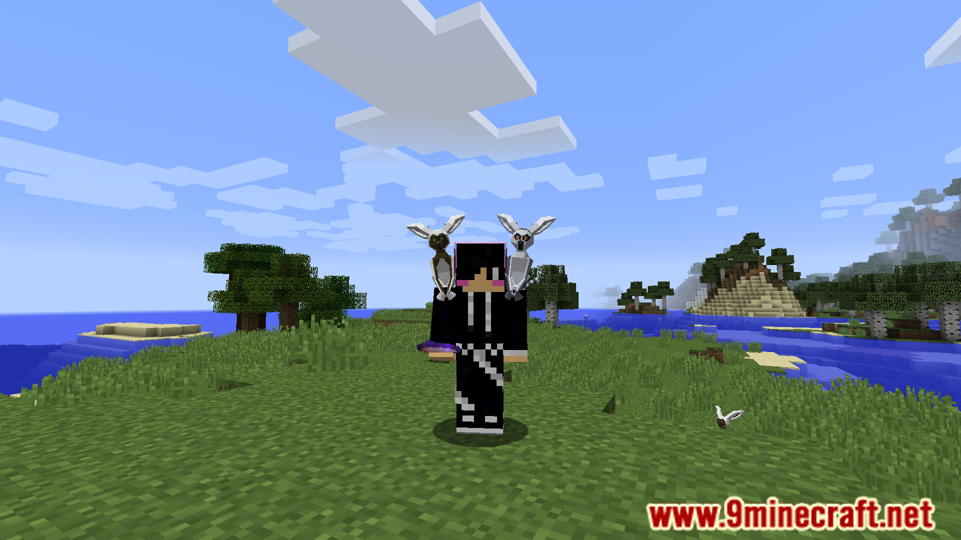 Flying Lemur Mod (1.12.2) - Explore Minecraft With The Flying Lemur 8