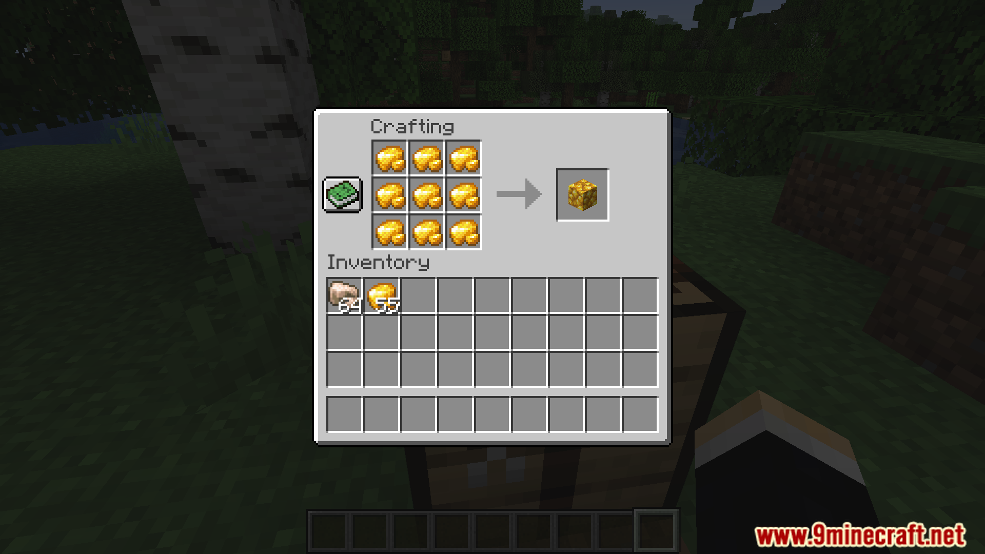 Iron and Gold from 1.17 Mod (1.16.5) - Return To Classic Mining With Iron And Gold From Version 1.17 6