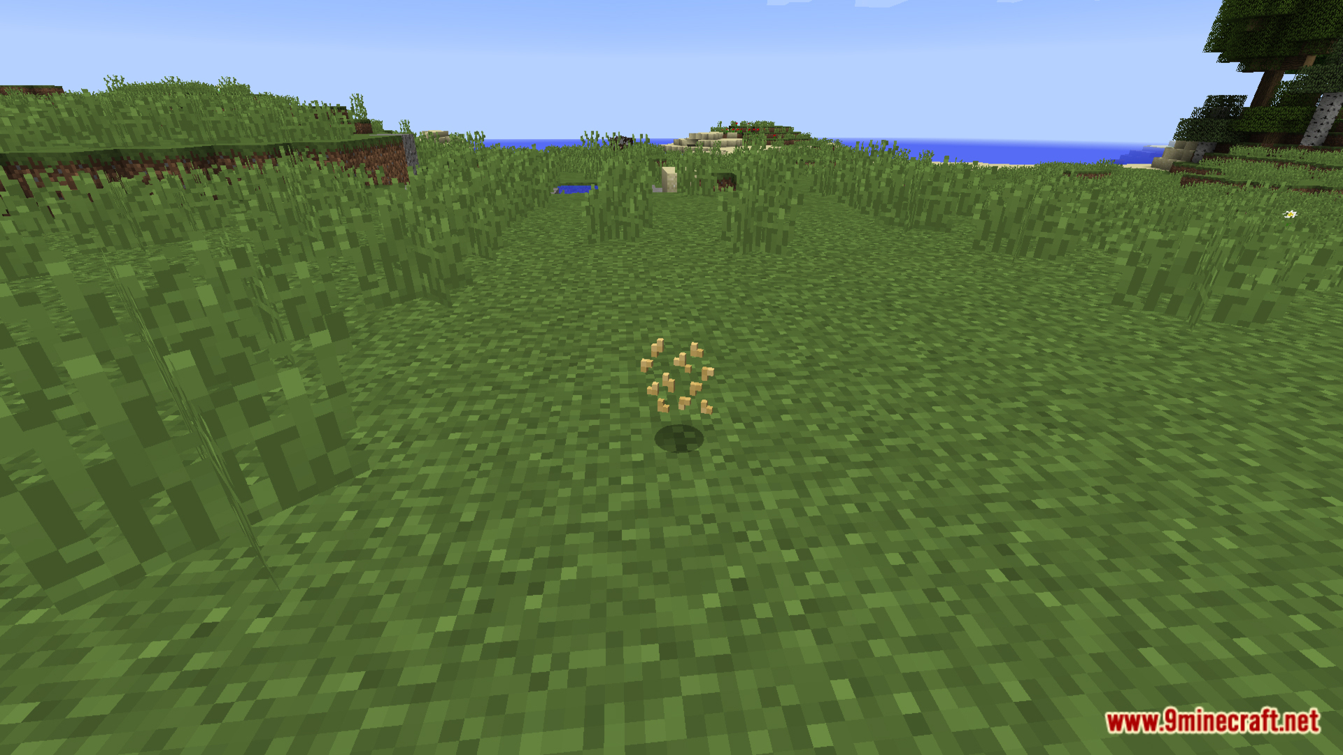 Simple Flax Mod (1.12.2) - Sustainable String Farming With Simple Flax Mod 3