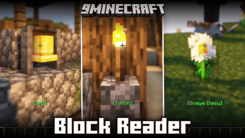 Block Reader Mod (1.21.3, 1.20.1) – Displays The Name Of Block You Are Pointing At Thumbnail