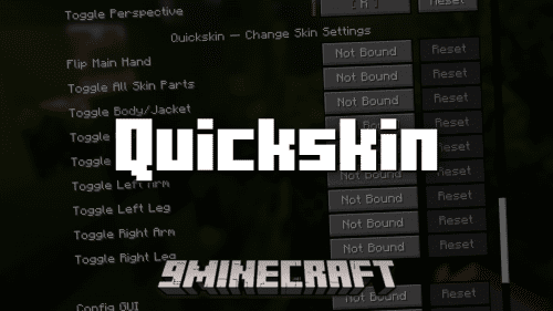 Quickskin Mod (1.21.1, 1.20.1) – Toggle Skin Settings Using Keybinds Thumbnail