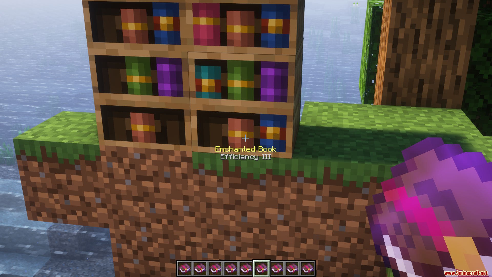 Chiseled Bookshelf Visualizer Mod (1.21.1, 1.20.1) - Visually Display Books 2