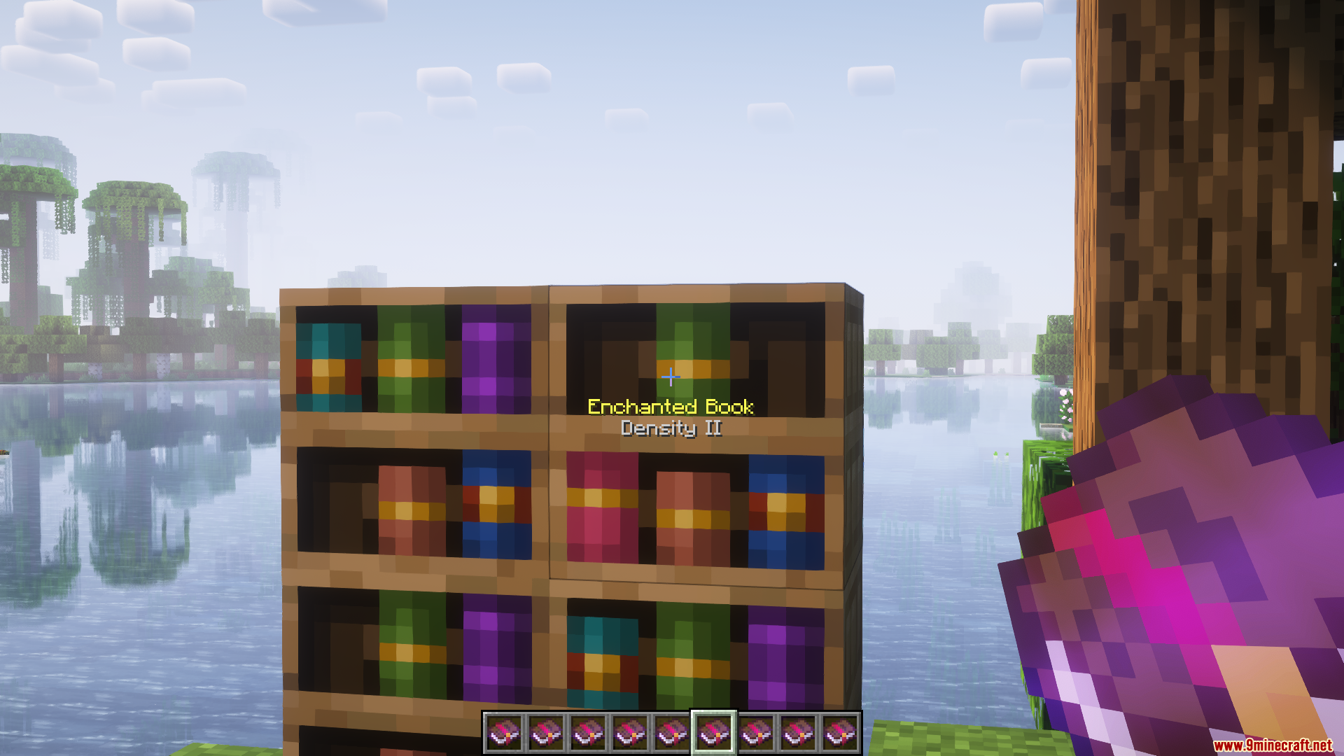 Chiseled Bookshelf Visualizer Mod (1.21.1, 1.20.1) - Visually Display Books 3