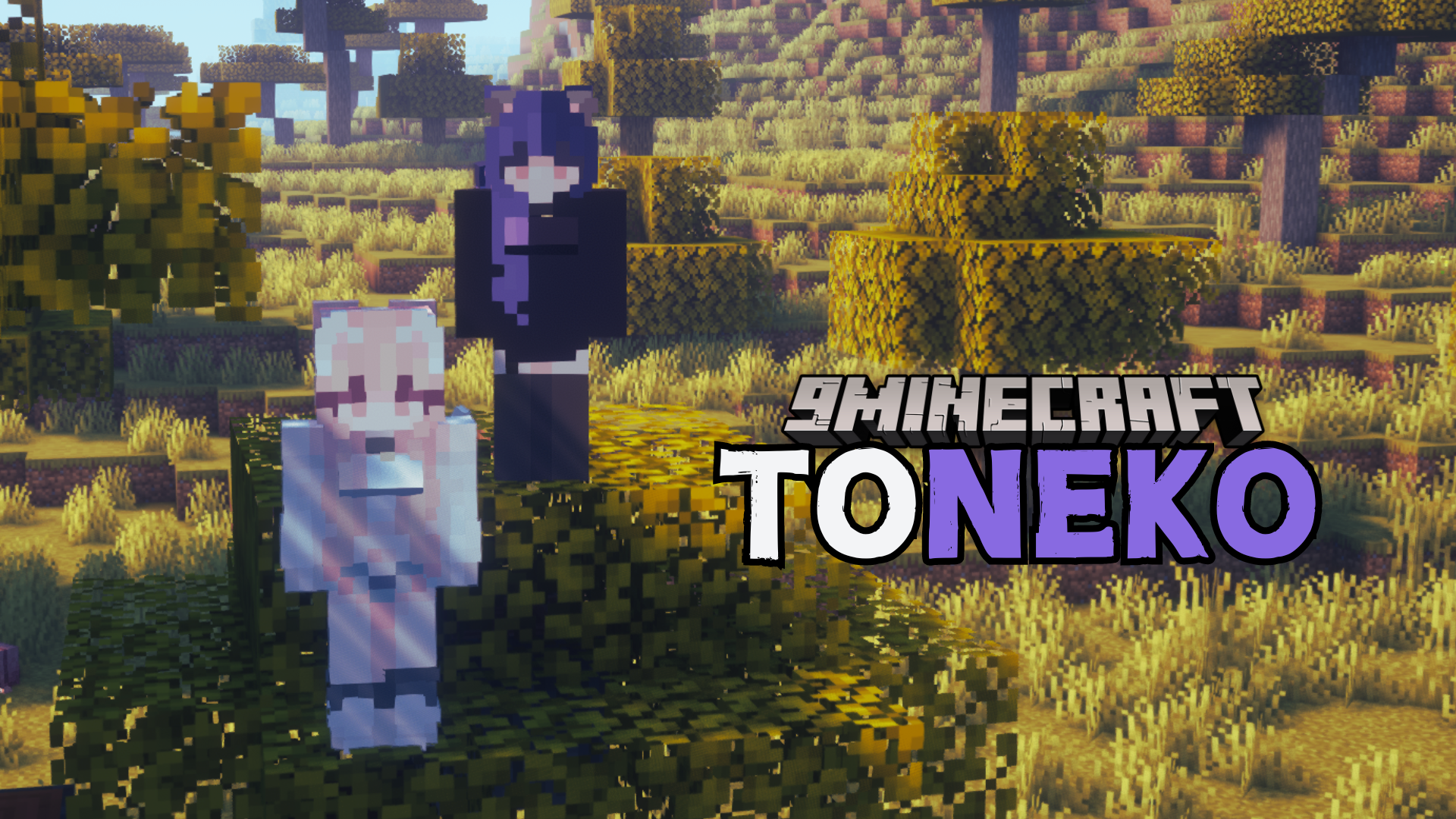 toNeko Mod (1.21.1, 1.20.1) - Turn Players Into Cat Girls 1