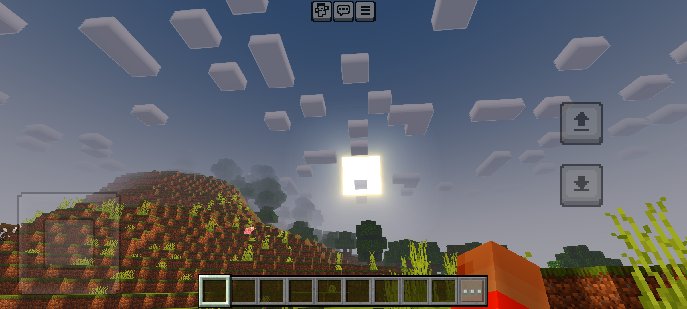 Newb X Stellar Vision Shader (1.21) - For Low-End Phones 11