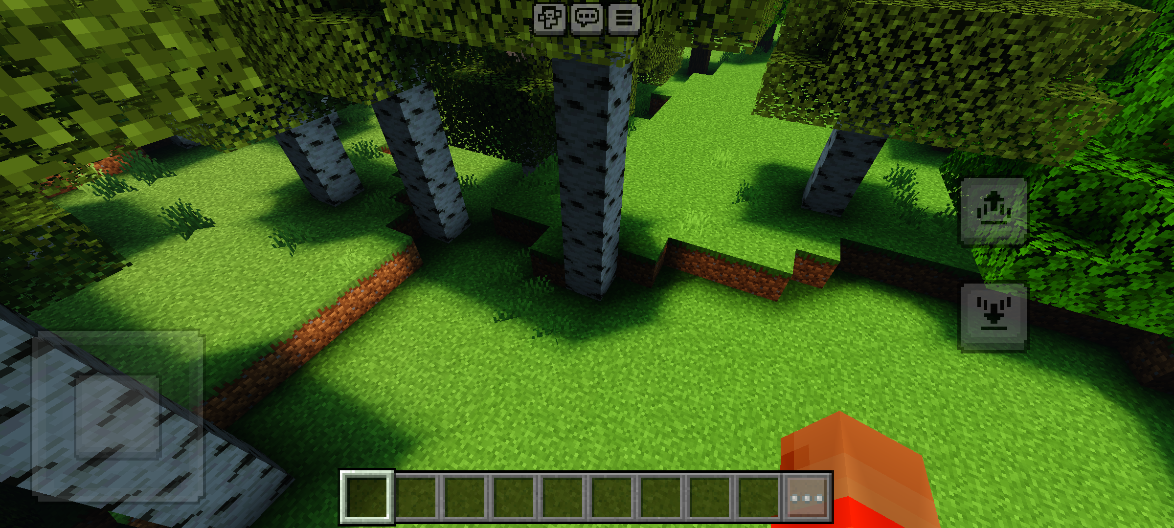 Newb X Stellar Vision Shader (1.21) - For Low-End Phones 13