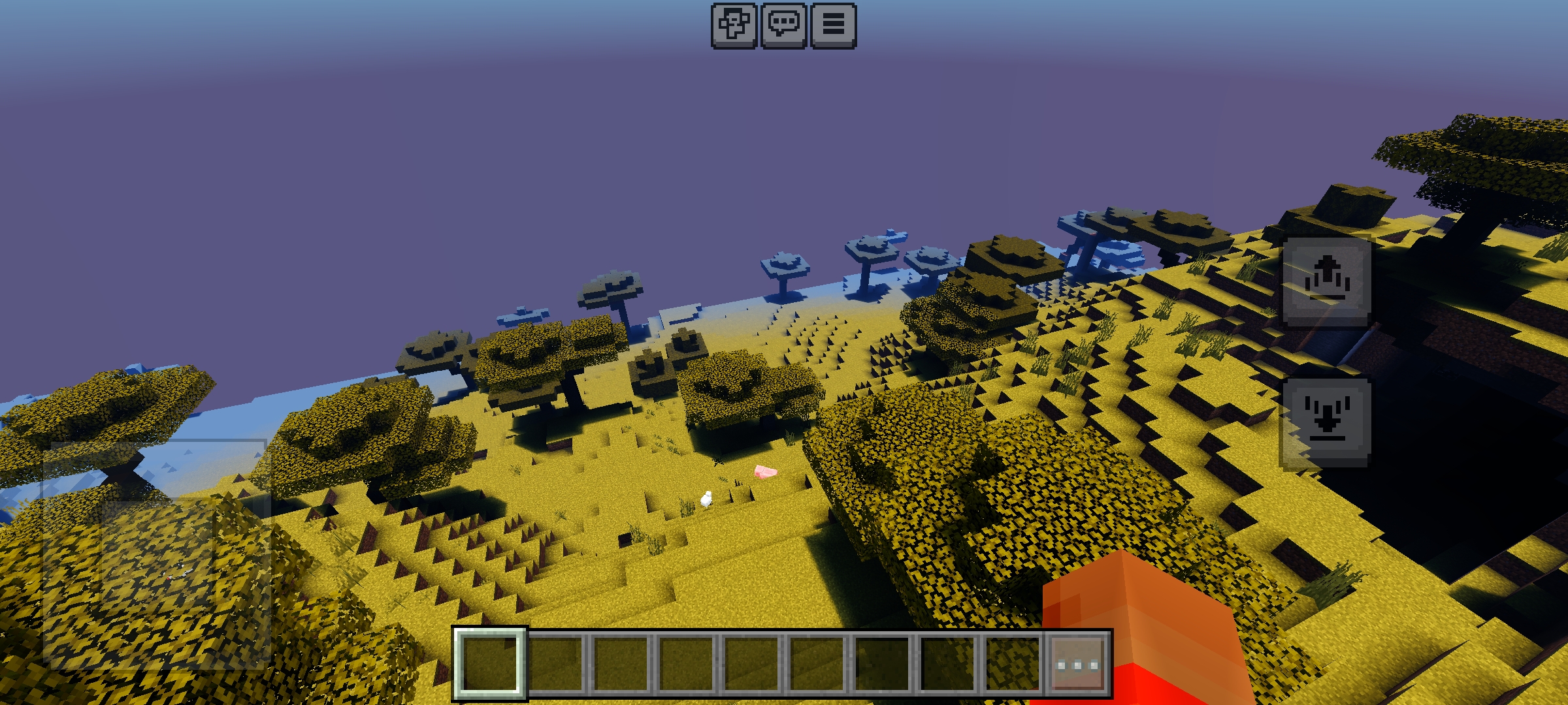 Newb X Stellar Vision Shader (1.21) - For Low-End Phones 17