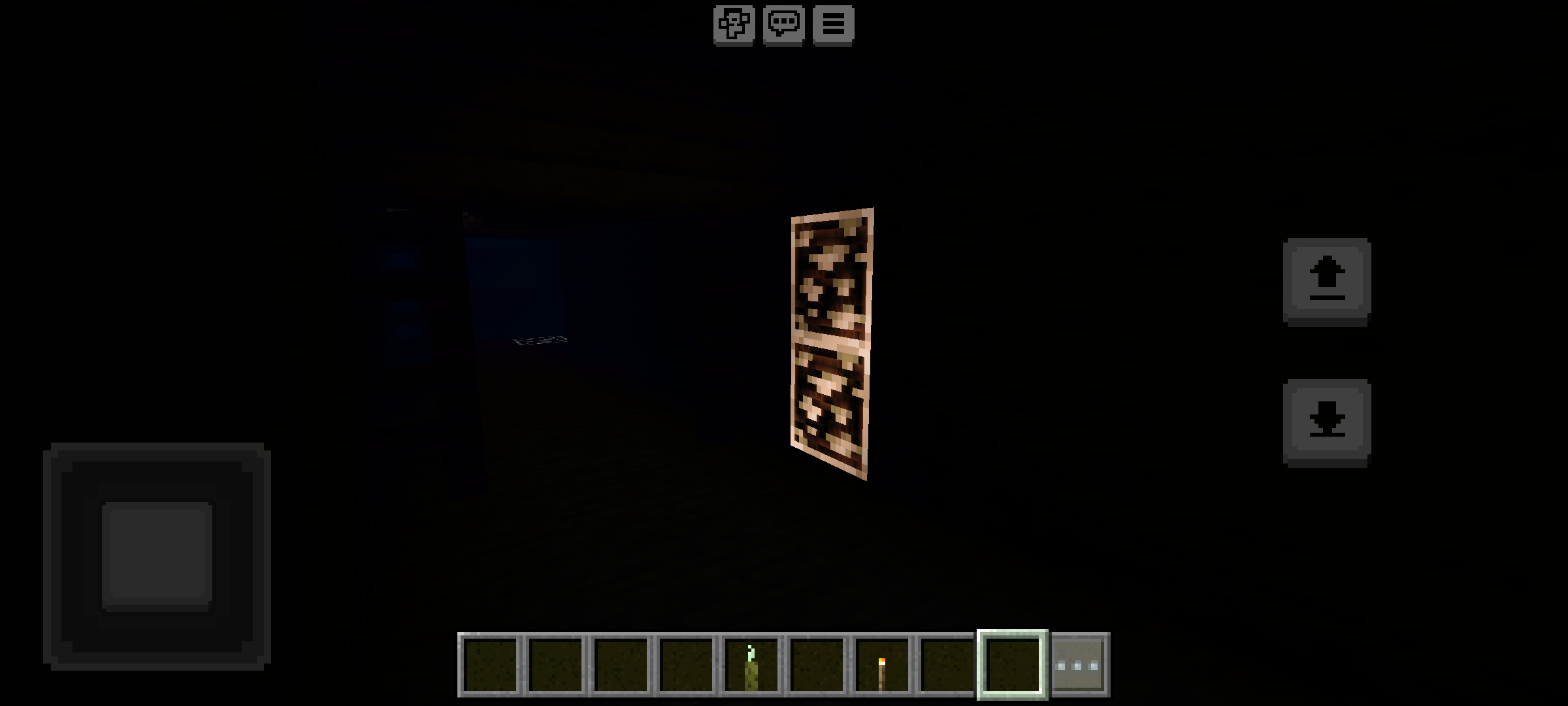 Newb X Stellar Vision Shader (1.21) - For Low-End Phones 8