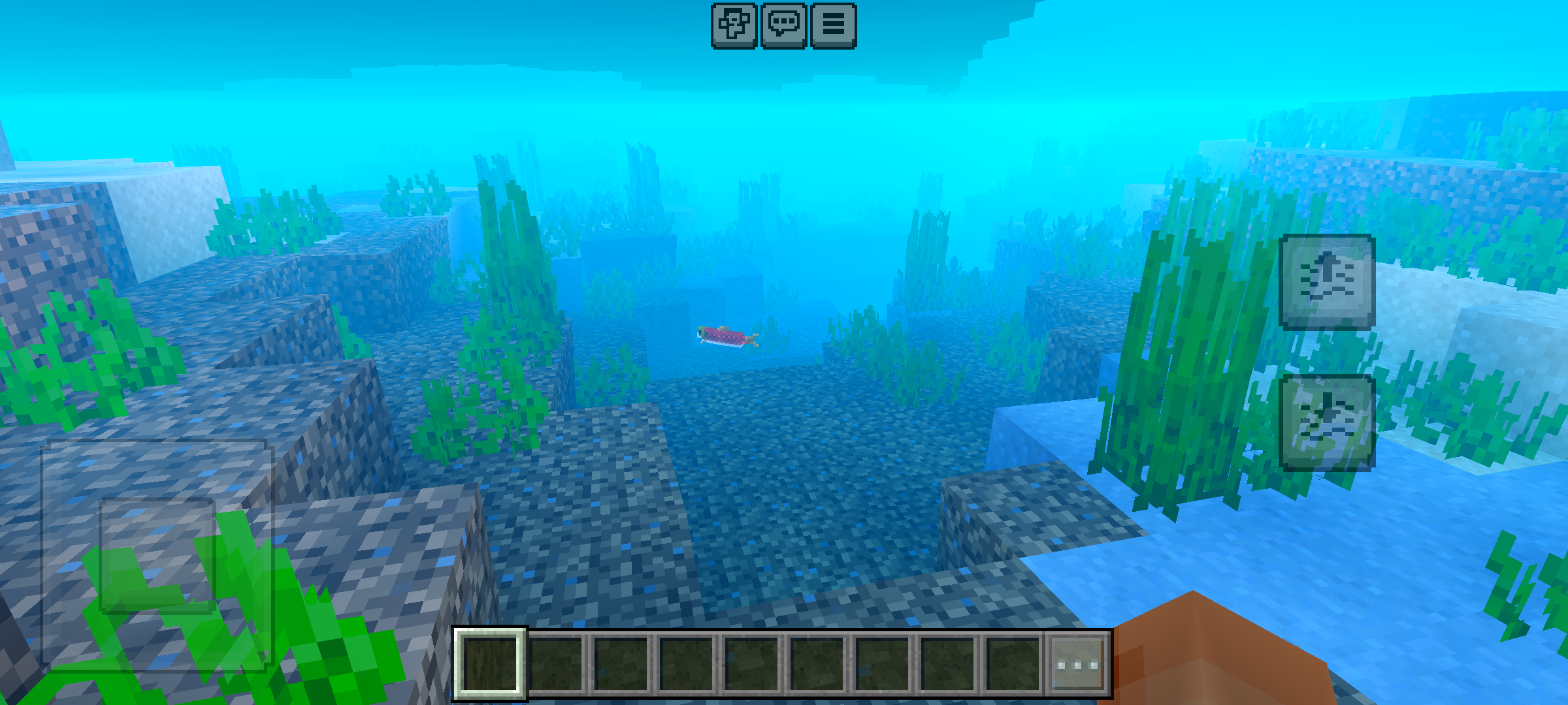 Newb X Stellar Vision Shader (1.21) - For Low-End Phones 10