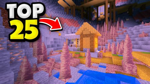 Top 25 Best New Village Seeds For Minecraft (1.21.5, 1.21.1) – Java Edition Thumbnail