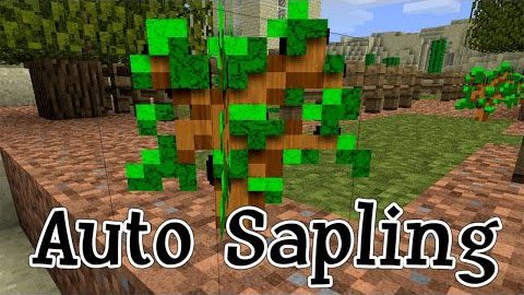 Auto Sapling Mod 1.11.2, 1.10.2 (Saplings Automatically Plant Themselves) Thumbnail